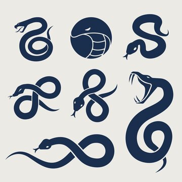 Snake Logo Icon Symbol Set