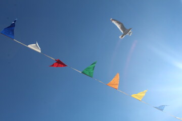 bird and bunting in the sky