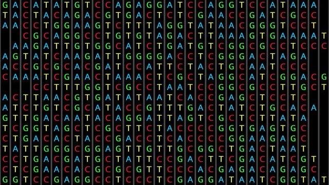 Loopable: DNA genetic matching and analysis abstract background with color-coded DNA components C, G, A, T. Genomic data processing concept.