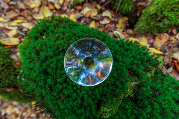 Obraz na płótnie Canvas Crystal ball sitting on the moss in the woods