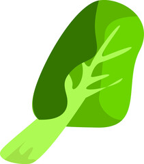 Vector illustration of lettuce leaf. Vegetable icon. Green leaf element