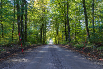 A countryside road at Getaryggarna nearby Värnamo, Sweden