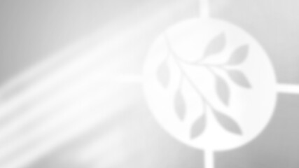 Tropical leaves natural shadow overlay on white background, for overlay on product presentation.