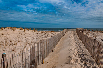 Photo of Delaware Beach Dunes