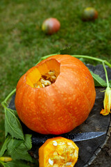 Pumpkin on stump in the wood, garden, outdoor, near knife, before carving for Halloween