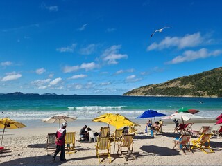 beach with umbrellas