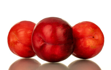 Fototapeta na wymiar Several juicy sweet, red plums, close-up, isolated on white.