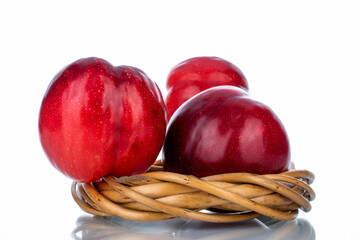 three organic sweet, red plums with vine wreath, close-up, isolated on white.