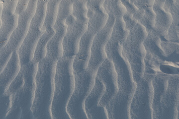 sand ripples in the sand