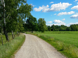Fototapeta na wymiar Bicycle on path along green field in countryside of Varnamo, Sweden
