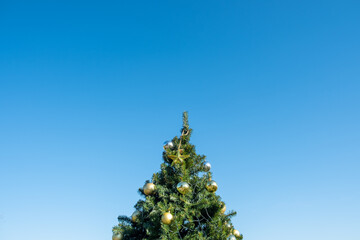 gold decoration on christmas tree and blue sky