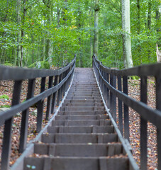 A stairway in Söderåsen National Park, Sweden