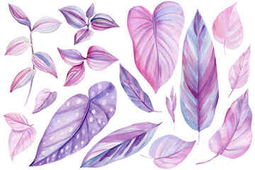 Set of tropical leaves of pink and purple color, watercolor illustration, isolated white background
