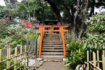 Fototapeta na wymiar red Torii shrine in park Japan