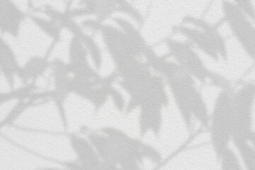 Abstract leaves shadow on concrete wall background. Natural leaves tree branch shadows and sunlight dappled 