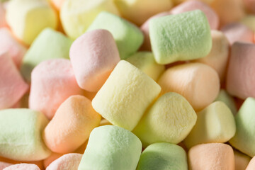 Sweet Rainbow Fruity Mini Marshmallows