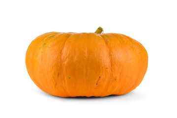 Orange pumpkin close up isolated on white background