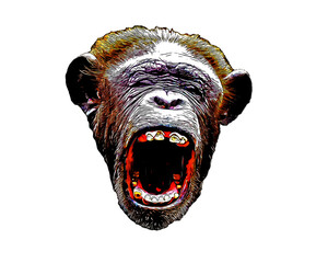 Color digital ink and watercolor portrait illustration of an angry chetah ape screaming isolated on a white background