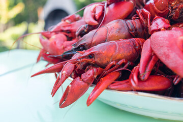 lobster on a wooden table