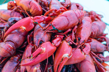 lobster on the market