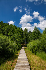Fototapeta na wymiar Svitiaz Lake, Shatsk National Natural Park. Wooden path to the forest.