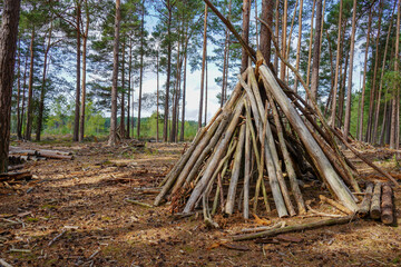 Small den and hut made of logs in woodland