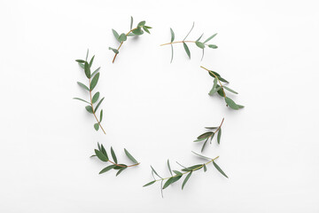 Frame made of eucalyptus branches on white background
