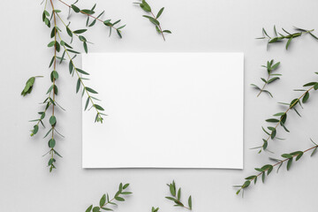 Blank card and eucalyptus branches on white background - obrazy, fototapety, plakaty