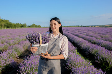 Female farmer holding basket with lavender flowers in field