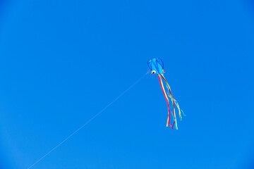 Fototapeta na wymiar bright rainbow colored kite shaped like a squid on a blue sky