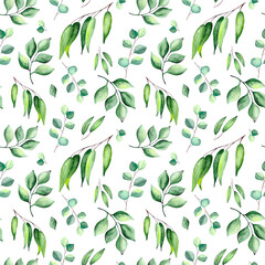 Seamless pattern with green leaves and eucalyptus on a white background. Watercolor background for textiles, wallpaper, packaging and bed linen.