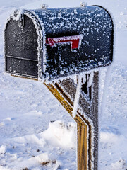 Frosty mailbox