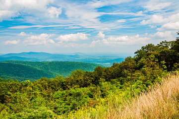 Summer in the Appalachian Mountains, Shenandoah National Park, Virginia, USA