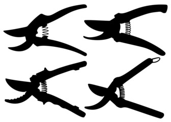 Garden pruning shears in a set. Vector image.