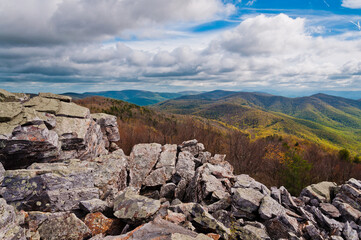 Mid-Spring in the Appalachians, Shenandoah National Park, Virginia, USA