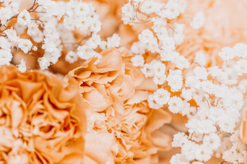 Beige carnation flowers bouquet on light beige background.