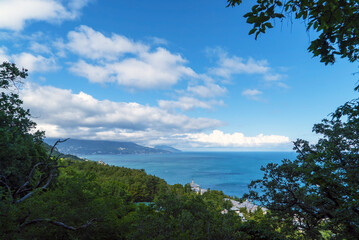 View of the sea and Yalta through the foliage of trees. Crimea.