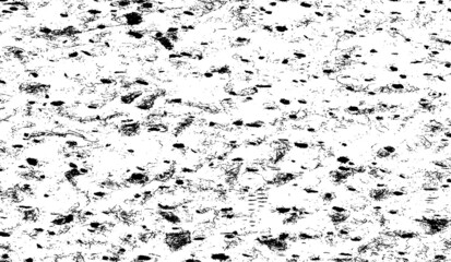 Fototapeta premium Rough black and white texture vector. Distressed overlay texture. Grunge background. Abstract textured effect. Vector Illustration. Black isolated on white background. EPS10