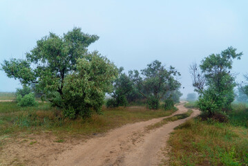 The road along the sea coast in the early morning in a fog .Crimea. The village of Molochnoye.