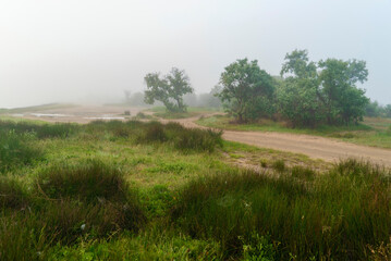 The road along the sea coast in the early morning in a fog .Crimea. The village of Molochnoye.