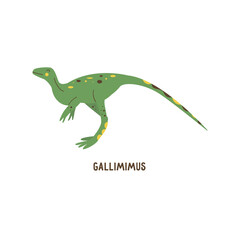 Dinosaur Gallimimus. Large omnivorous animal, extinct ancient reptile, Jurassic period. Colorful vector isolated illustration hand drawn. White background. Green cute dino