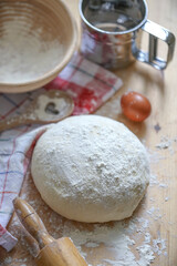 fermented bread dough on the kitchen counter