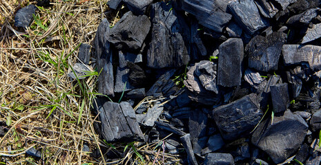 Coals background. Consequence of a forest fire.