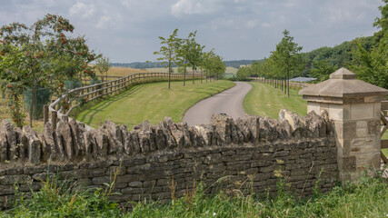 Drivewway lined with trees with a wall in front