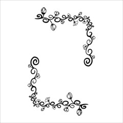 frame. border. flowers. plants. monograms. wedding invitation. postcard. square. botanical. ornament. pattern.  vector eps 10