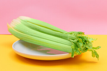 Fresh Celery Stalk on White Dish. Vegan and Vegetarian Culture. Raw Food. Healthy Diet with Negative Calorie Content