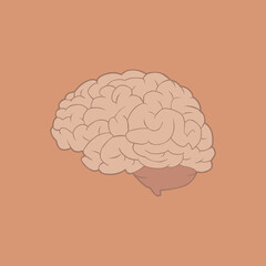 Brain illustration isolated, Mind Svg, Brain Clipart, Silhouette, Svg, Dxf, Eps, Brain Vector on rose background