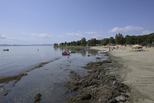 Tuoro sul Trasimeno