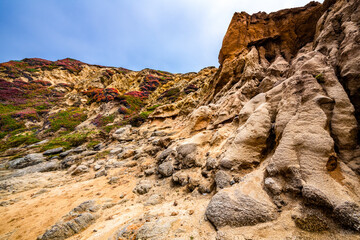 Image of the cliffs at Bodega Head in Bodega Bay