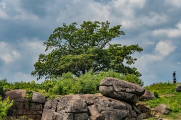 Witness Tree On Devils Den On A Hot and Stormy Summer Day